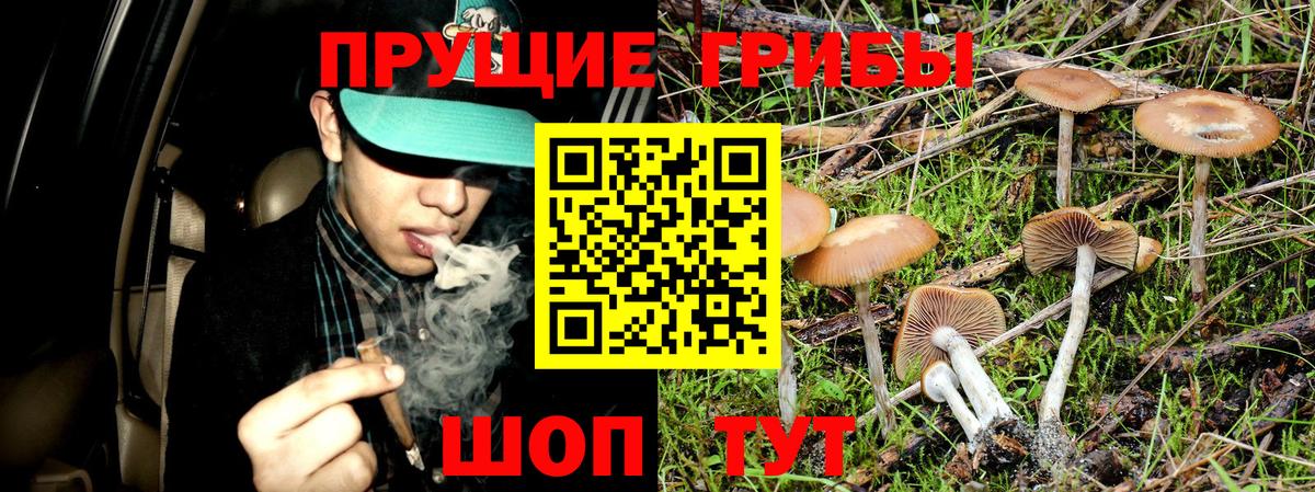 Рассказово  Псилоцибиновые грибы мухоморы  Вход с VPN 